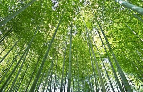 新余装修 新余装修 新余装修注意事项