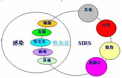 女儿得了全身炎症反应 炎症反应 得了炎症怎么办