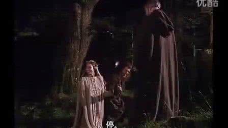 法国 啄木鸟 中文字幕 法国【勇敢的心】中文字幕