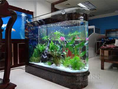 亚克力鱼缸制作方法 亚克力鱼缸 亚克力鱼缸的介绍与保养方法 如何摆放亚克力鱼缸
