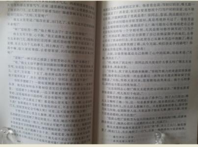 忘忧草的天空 读书笔记:《忘忧草的天空》作文550字