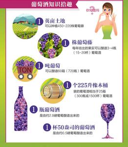 进口红酒葡萄酒的知识 葡萄酒常识