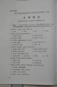 专升本大学语文真题 2005年成考专升本大学语文真题