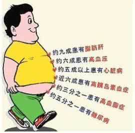 脾虚肥胖吃什么中药 除了“吃”之外 你想象不到的肥胖原因