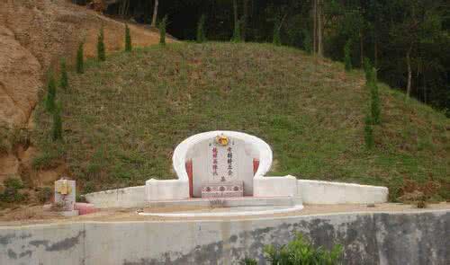 树对坟墓风水影响 家门口树对风水的影响