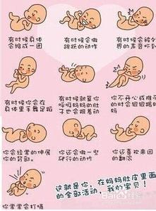 胎动看胎儿性别绝招 孕晚期胎动 孕晚期胎动看胎儿性别的8种经验