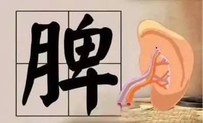 小儿脾胃虚弱怎么食补 脾 胃 虚 弱 者 如 何 进 补?