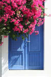 门卫老董与美丽校花 美丽花门