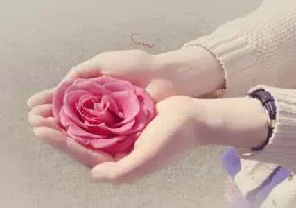 得失都是缘 毕竟，对错得失都是一种独特的美丽