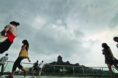 台风梅花 养生警惕：台风梅花对健康的八个影响