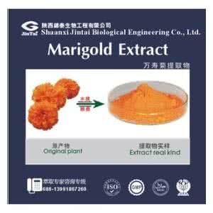 首都十大健康卫士 首都十大健康卫士 叶黄素 视网膜的健康卫士