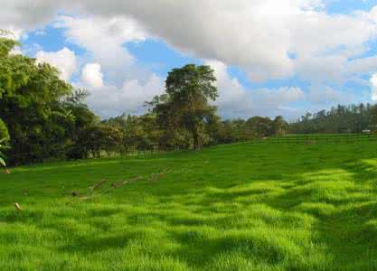 爱到深处全是泪原唱 爱到深处松松手