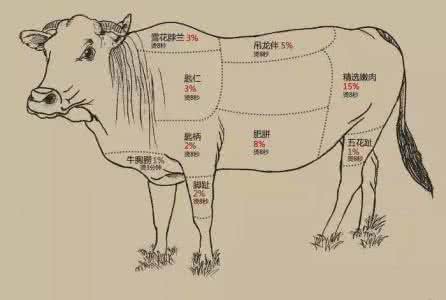 深圳公明黄牛屠宰场 千斤黄牛只取39%、从宰到吃仅需三小时,北京又1个不耍流氓的潮汕火锅