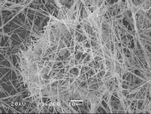 纳米晶须是什么 晶须