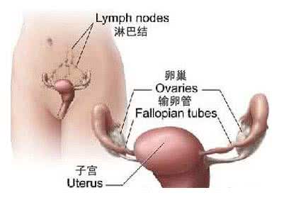 破卵针对卵巢有伤害吗 女性健康 伤害卵巢的7种生活方式