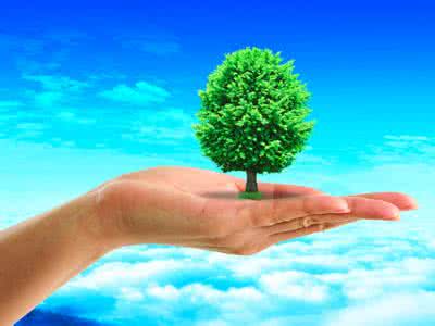 生命的邮件 白岩松 一张图读懂白岩松给儿子的人生邮件