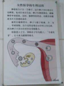 怎样才能知道怀孕 怎样才能知道怀孕 怎样知道自己怀孕了?