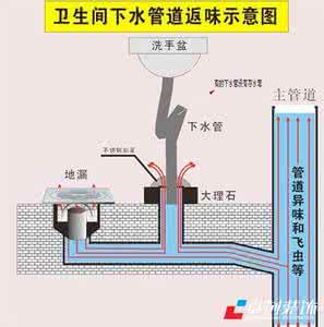 洗衣机排水专用地漏 排水顺畅有保障 地漏选购安装全攻略