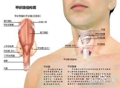 甲状腺癌术后注意事项 甲状腺癌术后 甲状腺癌术后该注意什么