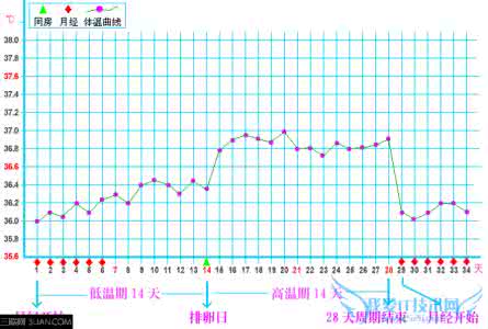 基础体温测量 测量基础体温有什么意义