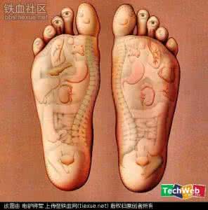 熬夜器官工作 身体器官工作表