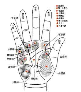 形容人善于交际的成语 手相看善于交际的人