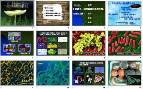 医学微生物学说课稿 说课稿 微生物说课稿