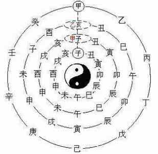 八字十二地支详解 午 八字十二地支详解