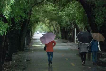 上雨下齐念什么 上雨下齐念什么？