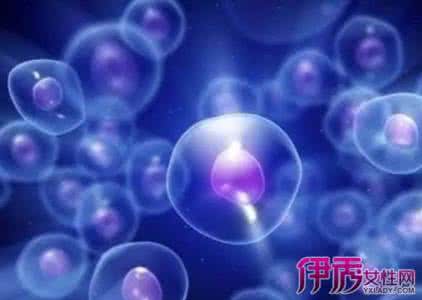 循环肿瘤细胞 滋养细胞肿瘤的治疗 肿瘤细胞治疗“四大类”