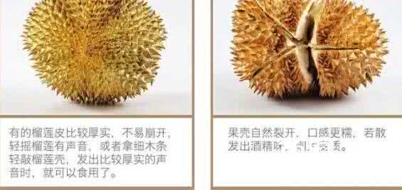 榴莲价格为什么那么贵 榴莲价格为什么那么贵 榴莲价格与什么有关呢