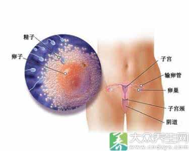 怀孕的预兆 怀孕一周症状
