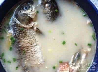 鲫鱼汤的家常做法 鱼汤怎么做好吃 鱼汤的家常做法
