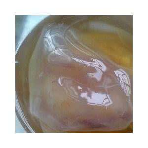 海宝菌的菌种怎么来的 怎么购买海宝菌？