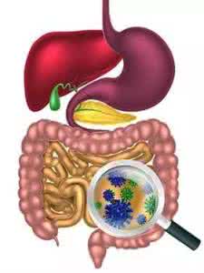 肠道微生物 肠道微生物 你的好心情可能是被肠道微生物吃掉了