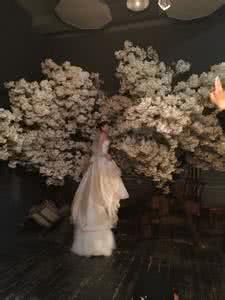 凝眸梨花雪 最美的一场雪,凝眸邂逅
