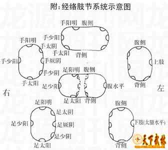 最好的经络运动108拜 经络在武术运动中的作用（上）