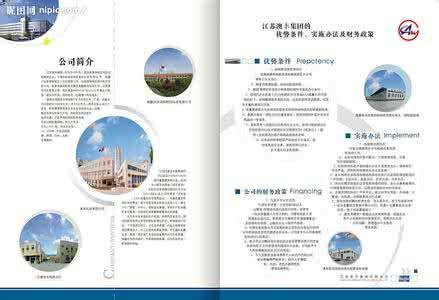 公司简介 公司简介(2)