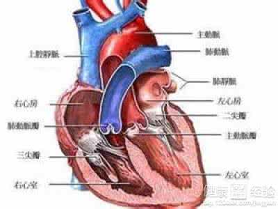 心肌缺血是什么原因 孕妇心肌缺血的原因是什么