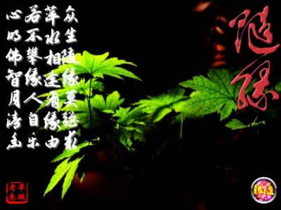 无法接受事实 坦然接受无法改变的事实