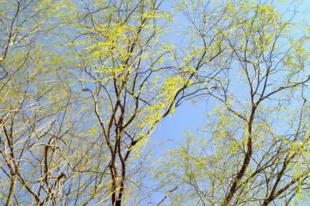 我的女儿情四月 塞北四月情