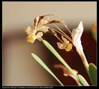 当世事再没完美 世事无完美 全然接纳生活令人自由