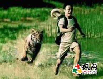 梦见被别人追赶 梦见别人追赶我 梦见别人追我