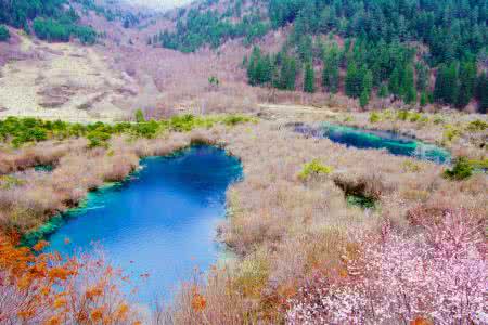 九寨沟树正群海 四川-九寨沟-树正群海·春