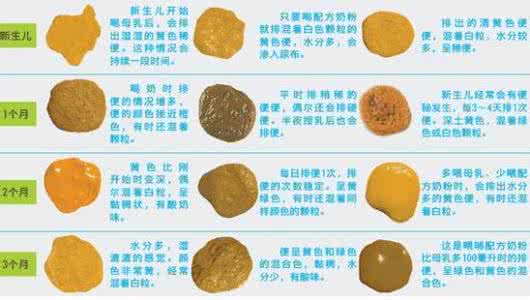 每天几次大便算正常 大便每天几次才算正常的?
