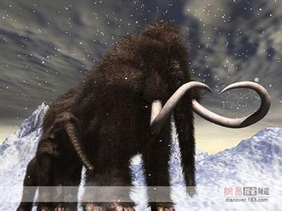 远古巨兽时期 远古巨兽时期 远古时期的经济模式 钱和币最开始不是一回事