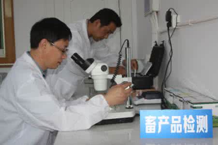 农畜产品质量安全 浅谈合作市农畜产品质量安全检测工作现状及存在的问题