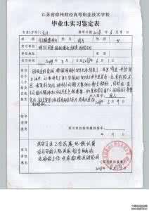中文专业实习总结