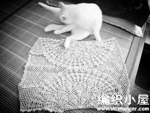 钩针半圆形手提包视频 【女款系列】淡粉色钩针半圆前襟菠萝花无钮小披