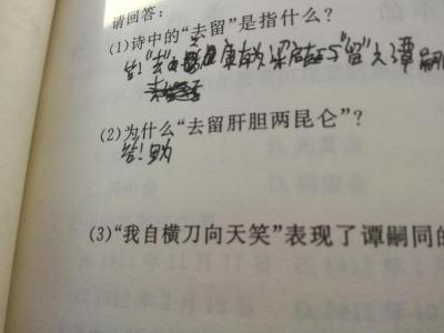 去留肝胆两昆仑 去留肝胆两昆仑！谭嗣同诗中的“两昆仑”是指谁